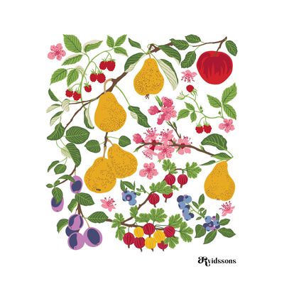 Williamspäron multi disktrasa med päron, äpple, plommon, bär, rosa blommor och gröna blad
