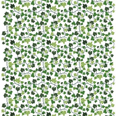 Murgröna vit-grön gardintyg från Arvidssons Textil med slingrande murgröna och blad i flera gröna nyanser på vit botten.