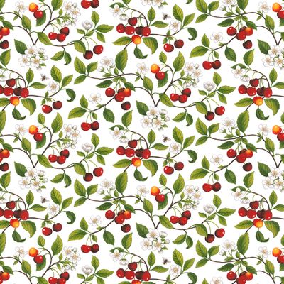 Närbild på Körsbärsdalen gardintyg från Arvidssons Textil med röda körsbär, vita blommor och gröna blad på vit botten.