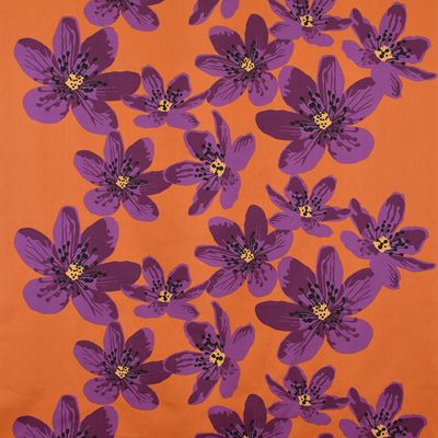 Anemone orange - Rosahuset.com