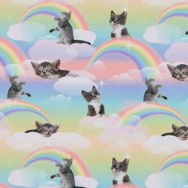 Kittens rainbows trikå