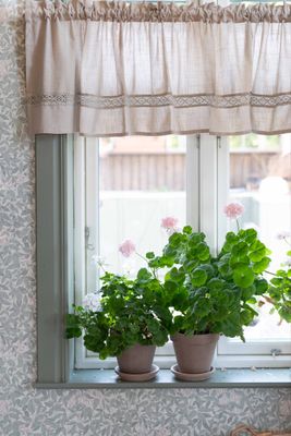 Beige gardinkappa med spets upphängd i fönster