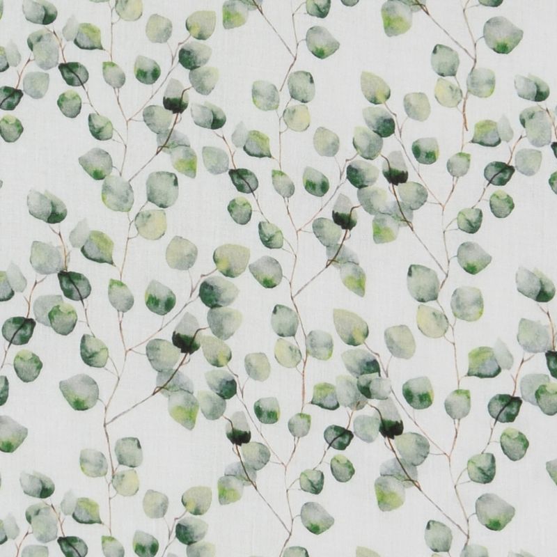 Muslin Eucalyptus vit