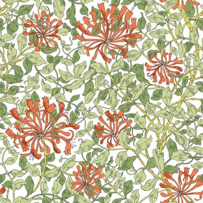 Närbild av Honeysuckle gardintyg i färgen terrakotta med slingrande blommönster och gröna blad på vit botten.