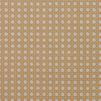 Webbing print mv
