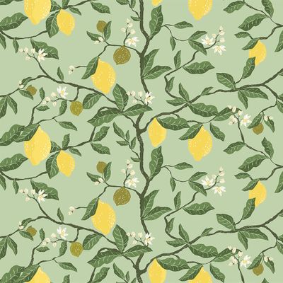 Närbild av Citronträd grön tyg med gula citroner, gröna blad och blommor mot grön bakgrund.