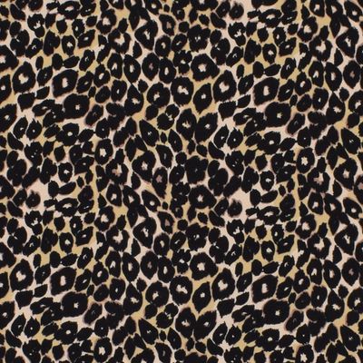 Leopard jogging
