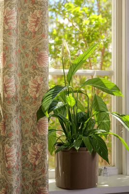 Grace gardin dimmgrön – närbild med botaniskt mönster