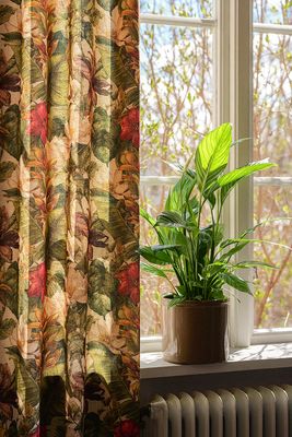 Närbild av Yucatan gardin med tropiskt mönster av stora blad och blommor i gröna, beige och röda toner. Gardinen hänger vid ett solbelyst fönster med en grön krukväxt på fönsterbrädan och skapar en varm och exotisk känsla i rummet.
