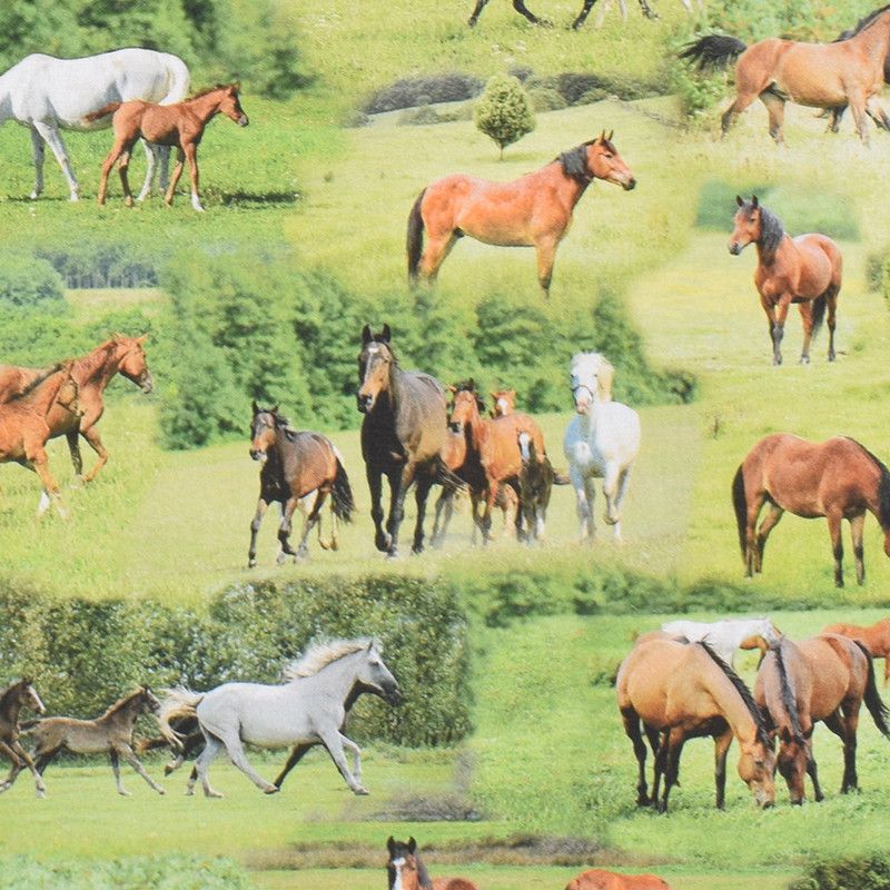 Horses in Meadow gardin och inredningstyg för den häst tokige- Rosahuset.com