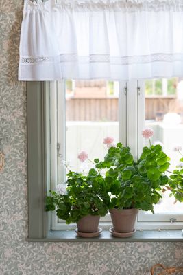 Vit gardinkappa med spets upphängd i fönster