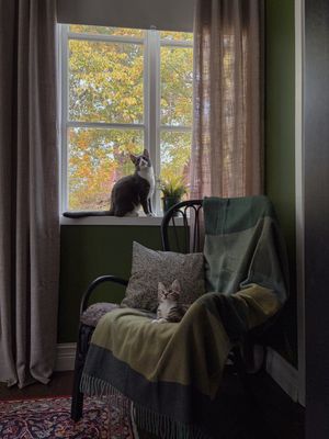 Katter - Pleasant green ullpläd - Ramas grön-mörkgrön _AW26