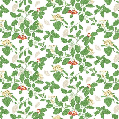 Detaljerat mönster av oxelblad och klasar med röda bär på vit bakgrund – textildesign med botaniskt tema.