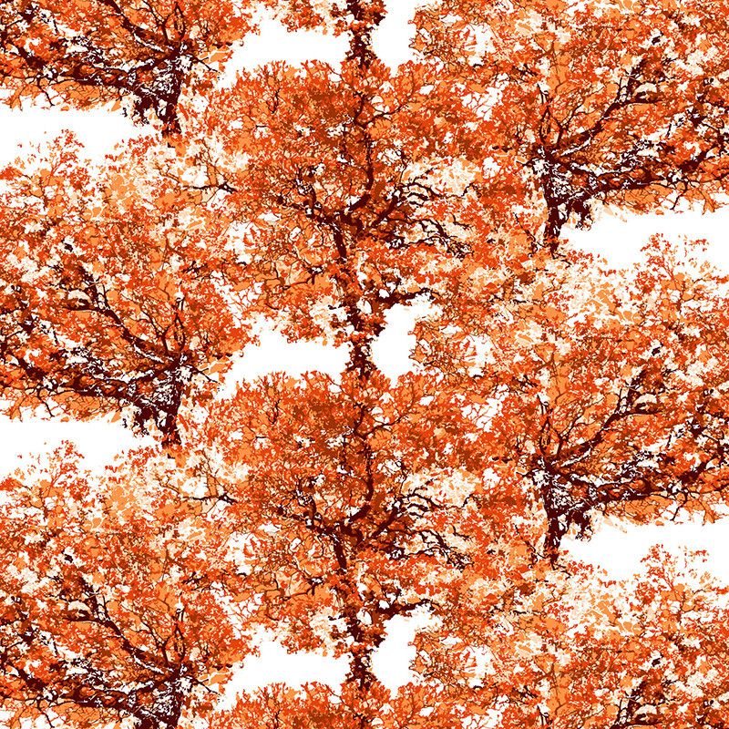 Jackaranda orange - tyg på metervara med vit botten i bomull med motiv av stora lummiga orange träd från Arvidssons textil.