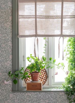 Sanna beige hissgardin med dekorativt spets upphänd i fönster