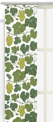 3232-09-02-08 Vitis vinifera panel