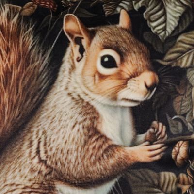 Närbild av det digitaltryckta ekorrmotivet på Forest squirrel kuddfodral i mjuk sammet.